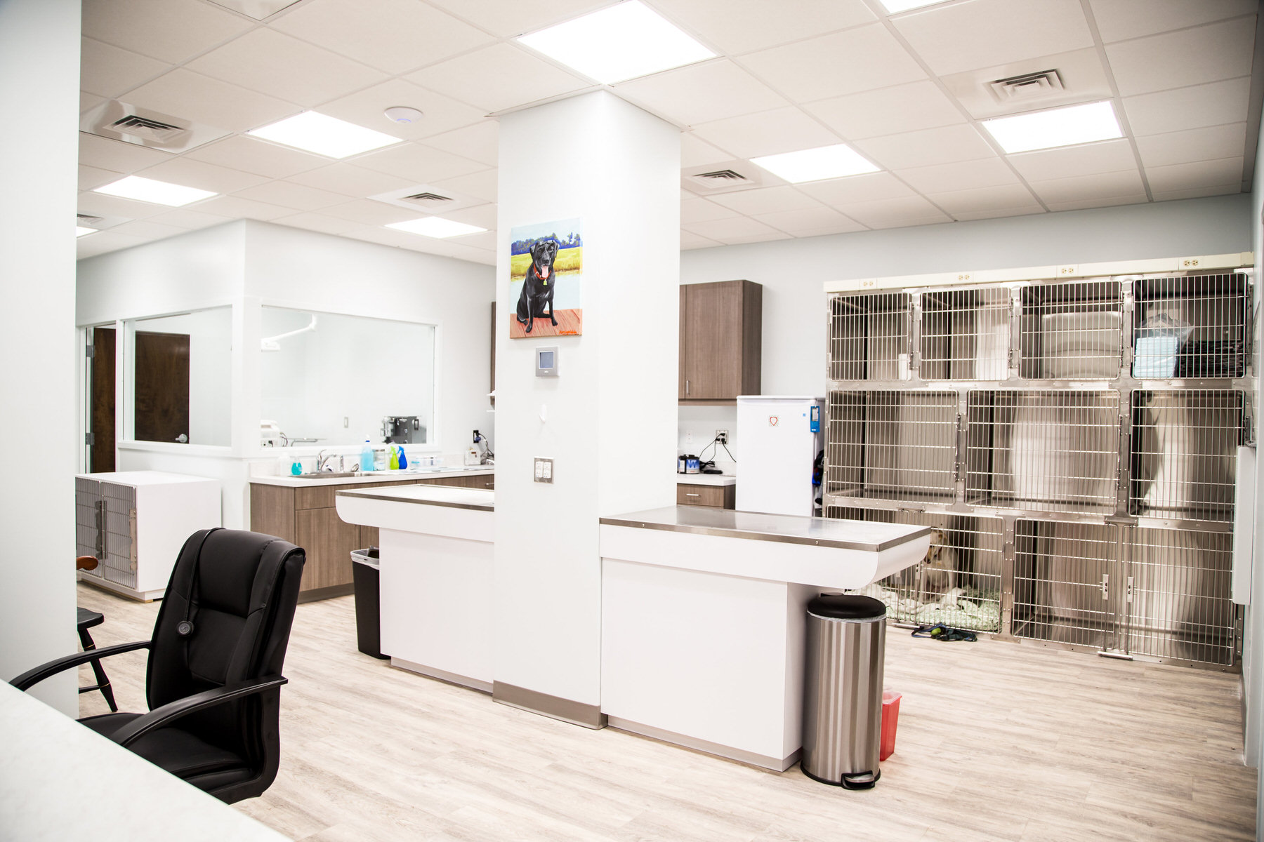 Cutler Animal Hospital | Veterinary ClinicCutler Animal Hospital